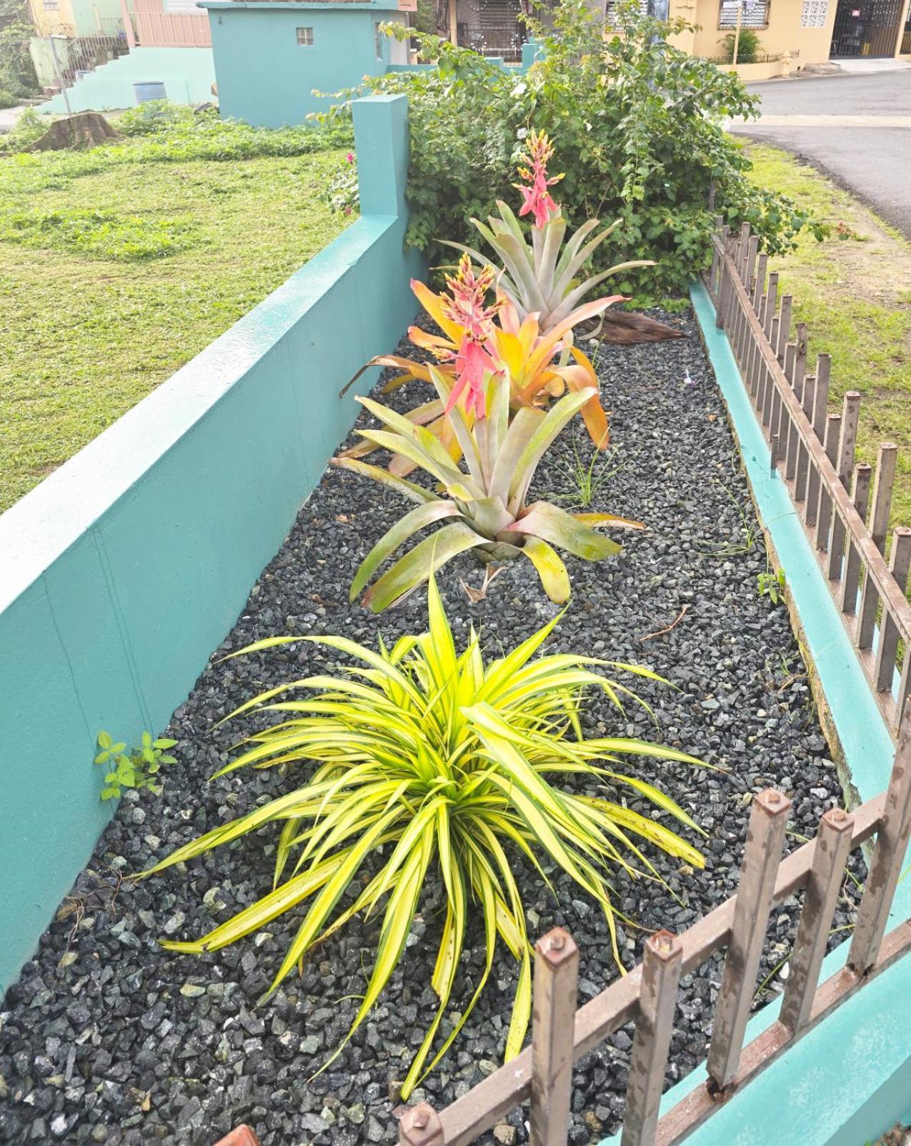 Casa Palmera Vega Baja Exterior foto